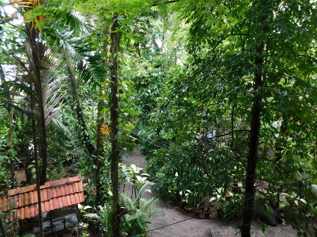 Green Woods Bethlehem Kochi Kültér fotó