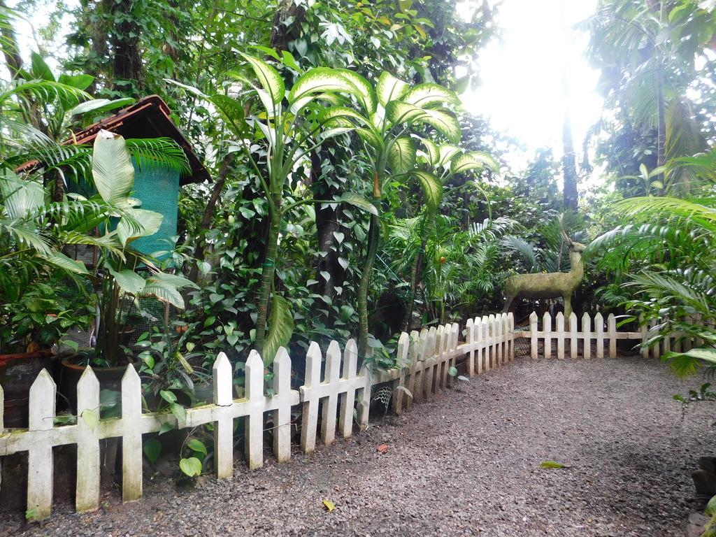 Green Woods Bethlehem Kochi Kültér fotó