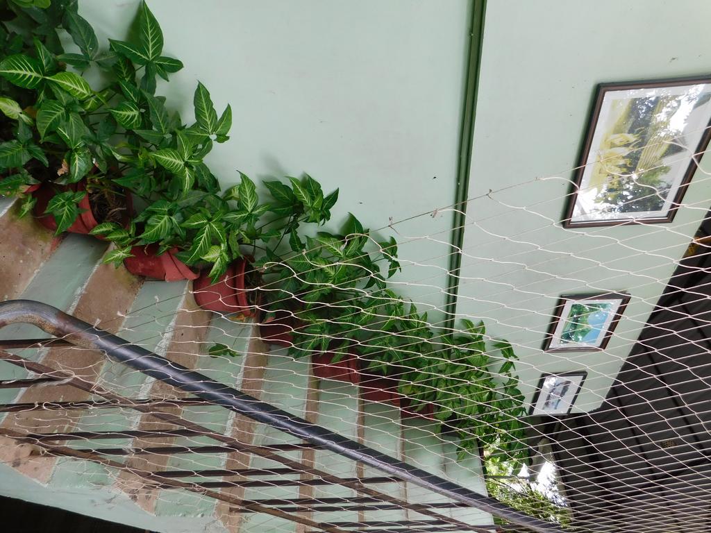 Green Woods Bethlehem Kochi Kültér fotó